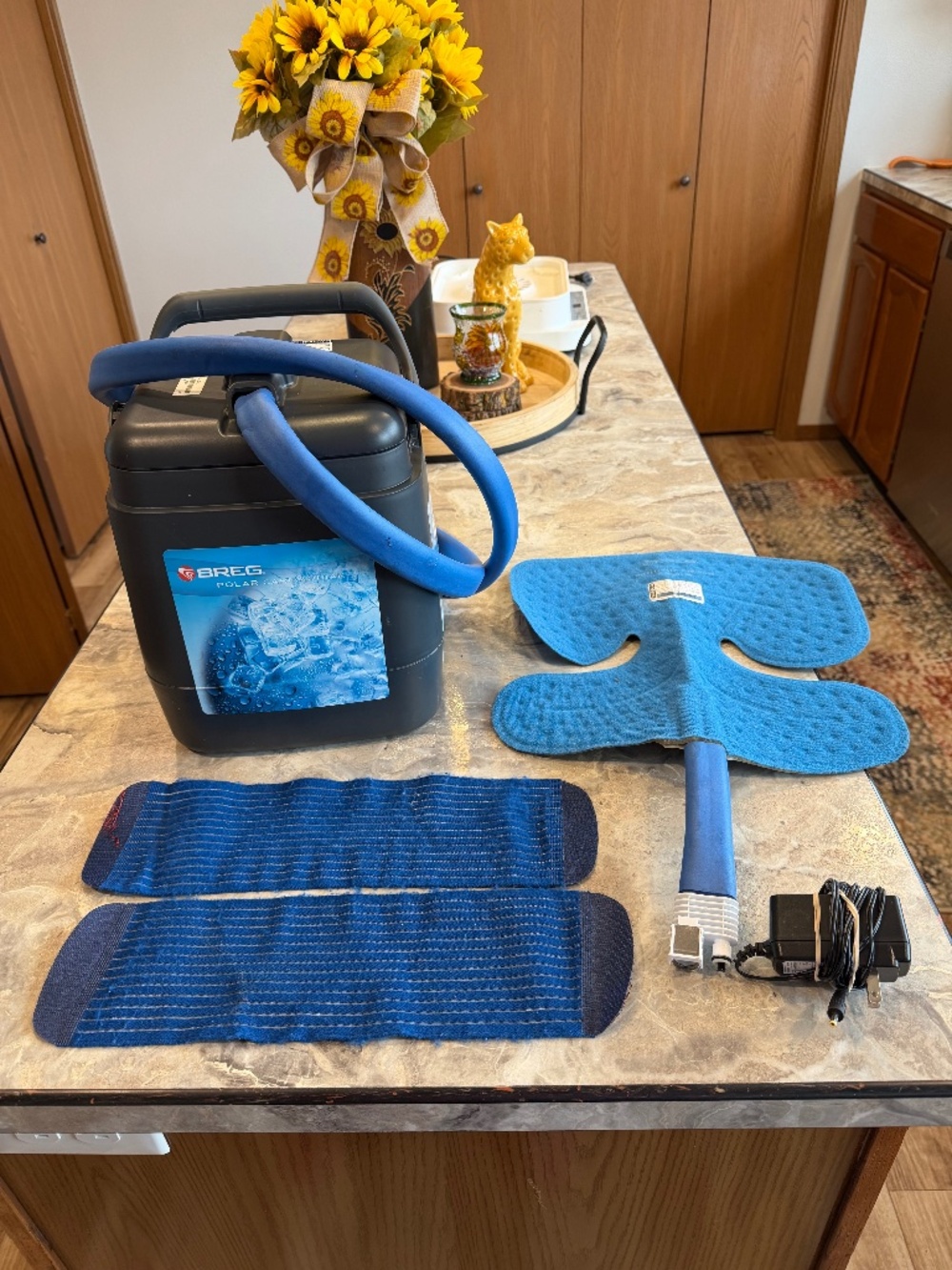 Bret Polar Care Cube Cold Compression System